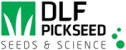 DLF